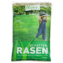 Halmland Grassamen